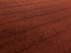 Ковер Hamilton clay