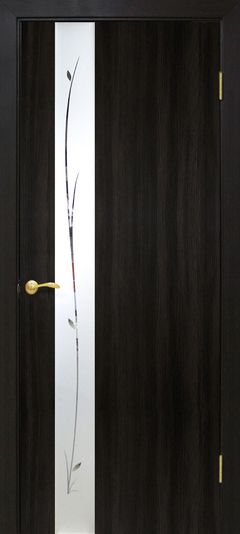 Двері з покриттям екошпон