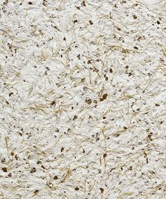 Рідкі шпалери Bioplast 976