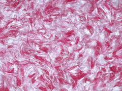 Рідкі шпалери Стиль тип 234