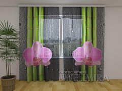 PhotoTulle Orchids and bamboo 2