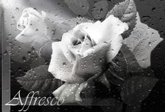 Fresco 7143