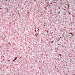 Рідкі шпалери Юрські Троянда 602