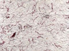 Рідкі шпалери Стиль тип 118