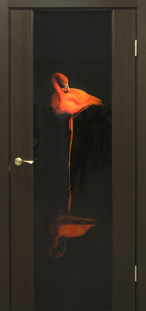 Межкомнатная дверь Межкомнатные двери Омис Премьера ФП Фламинго венге FL
